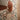 Asiatic London Origins Knotted Chain Thick Pile Tasseled Multicolour Hand-Carved Wool Berber Geometric Rug