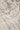 URCO Nova Loki Cream Polypropylene Traditional Vintage Abstract Rug