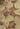 Nourison Tropics TS12 Brown Green Pure Tufted Wool Cotton Floral Rug 160x251 cm