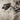 Mantra Sewn Textured Mongolian Luxurious Super Soft Wool Cotton Sheepskin Lambskin Rug