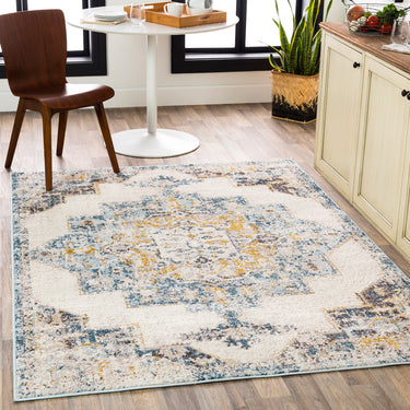 Ankara AKR2309 Antique Medallion Ice Blue Grey Polypropylene Oriental Traditional Vintage Rug - Small 60x90 cm (2'x3')