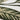 Paradise Leaf Natural Print Ivory Green By Washable Hand-Carved Wool Floral Rug
