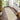Origins Sisal Border Hand Made Rug Modern Natural Jute Rug in Light Beige with Sand Border - Runner 67x200 cm (2'2"x6'7")