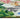 My Studio Lux Leopard Non-Slip Kitchen Home Entrance Runner Hall Rug in Multi Colours 65x150 cm