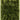Plush Plain Shaggy High Pile Thick Silky Fluffy Soft Hand Woven Green Rug