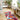 My Studio Exotic Palms Non-Slip Kitchen Home Entrance Runner Hall Rug in Multi Colours 65x150 cm