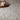 Adler Hand Woven Boucle Texture Rug in Ivory