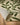 Origins Wool Hand Tufted Trailing Leaf Cream/Green Rug