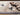 My Nylon Pattern Bee Washable Non-Slip Bordered Hallway Runner Rug