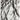 Consept Looms Blaze BLZ04 Silver Grey Bedroom Living Marble Polypropylene Abstract Modern Rug