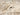 553A2 Classic Cream Beige Traditional Vintage Textured Bordered Hallway Runner Rug