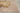 Nourison Tropics Beige TS04 Pure Tufted Tropical Wool Cotton Floral Rug