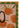My Printed Coir Ciao Orange Bordered Doormat 45x75 cm