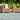 New Terrace Dragonfly Aqua Blue Polypropylene Bordered Modern Rug