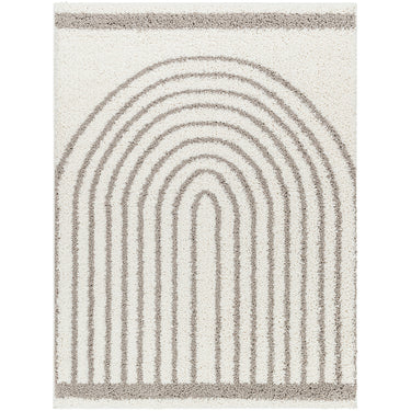 Birmingham Global Plush Soft Pile Shaggy Grey & Ivory Rug - Large Plus 160x213 cm (5'3'' x 7')