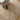 Penny Becki Owens Vintage Traditional / Vintage Brown, Ivory & Tan Rug