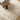Arda Vintage Traditional Oriental Ivory, Taupe & Medium Grey Rug