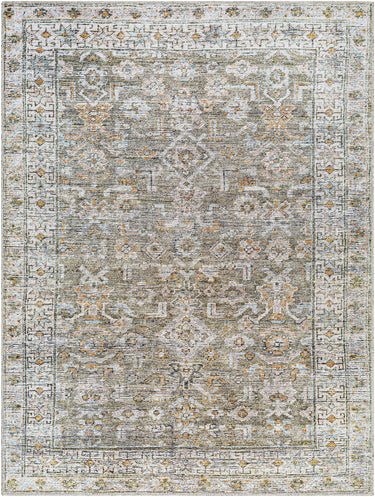 Darling Becki Owens Traditional Washable Vintage Grey, Medium Brown & Light Sage Rug - Design BODA2301 - Large Plus 160x213 cm (5'3'' x 7')