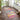 Consept Looms Art107 Multi Pictorial Pop Multicoloured Polypropylene Abstract Floral Rug - Runner 80x240 cm (2'7"x7'11")