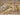 553A2 Classic Ochre Yellow Gold Traditional Vintage Textured Bordered Hallway Runner Rug