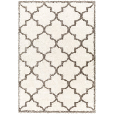 Cloudy Shaggy Modern Ivory & Dark Grey Rug - Large Plus 160x213 cm (5'3'' x 7')