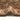 Grand Heritage GH102 Million Point Classic Green Polypropylene Persian Oriental Traditional Rug