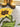 My Nylon Pattern Sunflowers Washable Non-Slip Bordered Rug
