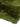 Plush Plain Shaggy High Pile Thick Silky Fluffy Soft Hand Woven Green Rug