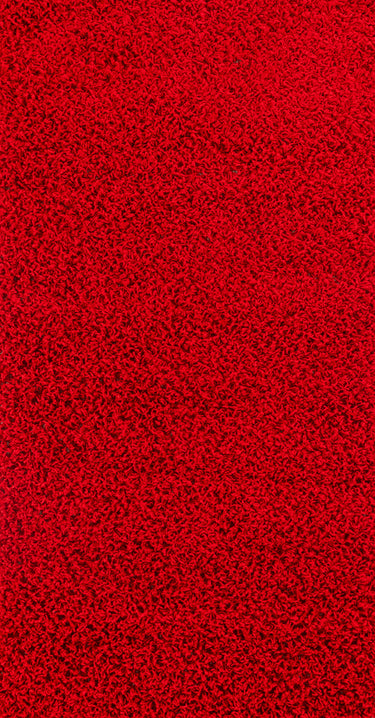 Fivelands Solid Color Plush Soft Pile Shaggy Red Rug - Small 80x150 cm (2'7'' x 4'11'')