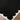 Fossay Washable Shaggy Black & Cream Rug