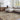 Collins Avenue Galey Alix Vintage Traditional / Vintage Brown, Dark Green & Ivory Rug