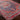 Iris Traditional Vintage Oriental Red, Dark Blue & Burgandy Rug