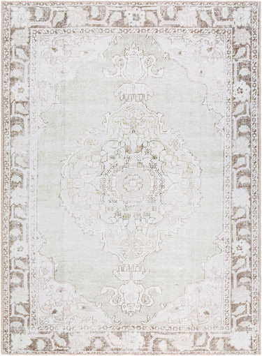 Rainier Our Pnw Home Vintage Traditional Oriental Brown, LightSage & Cream Rug - Large Plus 160x220 cm (5'3'' x 7'3'')
