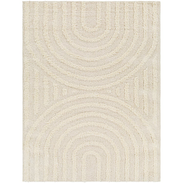 Rodos Modern Soft Plush Pile Shaggy Grey, Beige & White Rug - Design RDO2328 - Large Plus 160x213 cm (5'3'' x 7')