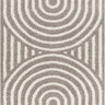 Rodos Modern Soft Plush Pile Shaggy Charcoal & White Rug - Large Plus 160x213 cm (5'3'' x 7')