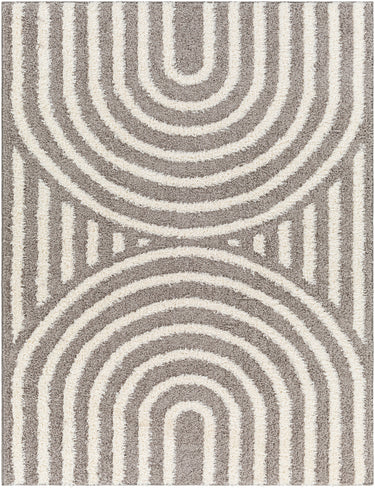 Rodos Modern Soft Plush Pile Shaggy Charcoal & White Rug - Large Plus 160x213 cm (5'3'' x 7')