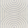Rodos Modern Soft Plush Pile Shaggy Grey, Light Slate & White Rug - Large Plus 160x213 cm (5'3'' x 7')