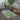 Ravello Outdoor Coastal Green & Ivory Rug - Design RVL2358