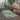 Ravello Outdoor Coastal Green & Ivory Rug - Design RVL2359