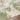 San Francisco Abstract Marble Modern Green, Ivory & Sage Rug