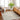 San Francisco Modern Graphic Skandi Green, Ivory & Tan Rug