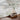 San Francisco Abstract Marble Skandi Modern Green, Ivory & Tan Rug