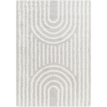 Urban Shaggy Modern Grey & White Rug - Design USG2314 - Large Plus 160x220 cm (5'3'' x 7'3'')