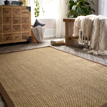 Origins Sisal Border Hand Made Rug Modern Natural Jute Rug in Warm Natural with Dark Brown Border