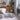Asiatic London Luxuriously Real Silver Sheepskin Rug - Quad: 120 x 180 cm → 4' x 6'