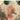 Prismatic Luxury Silky PRS15 Beige Multi By Wool Viscose Vintage Floral Rug