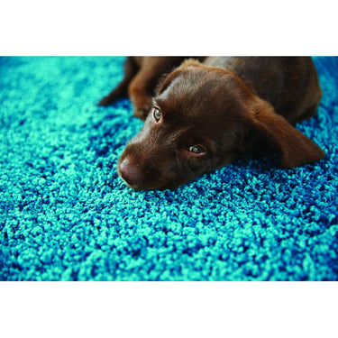 Buddy Washable Non-Slip Rug Shaggy Hall Runner Rug for Hallways Kitchen Bathroom Entrance Door Mat Living Room Bedside Bedroom Nursery Soft Plain Runner Rug