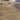 Maine Oyster Tubular Pile Rug Hand-Woven with New Zealand & European Wools, Thick Luxurious Soft Pile, Contemporary Natural Style for Modern & Traditional Interiors