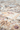 Alia 842G2 Short Pile Beige Grey Polypropylene Traditional Floral Bordered Rug