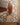 Asiatic London Origins Knotted Chain Thick Pile Tasseled Multicolour Hand-Carved Wool Berber Geometric Rug